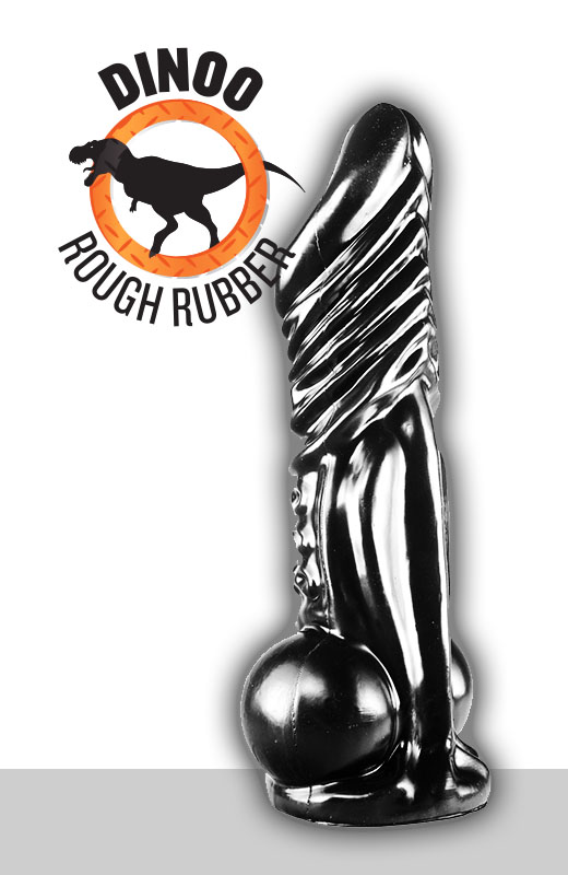 Rinchenia