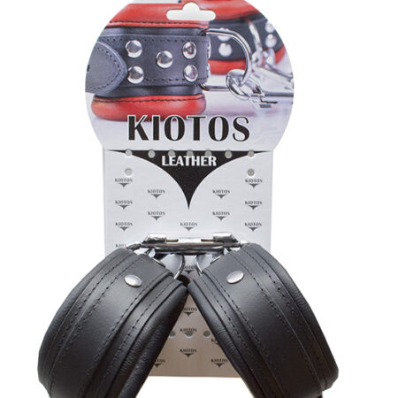 134-kio-0003_package