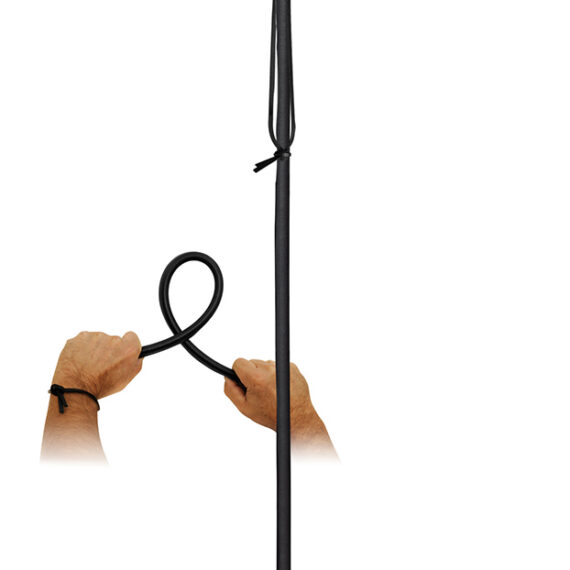 Poing whip - Black