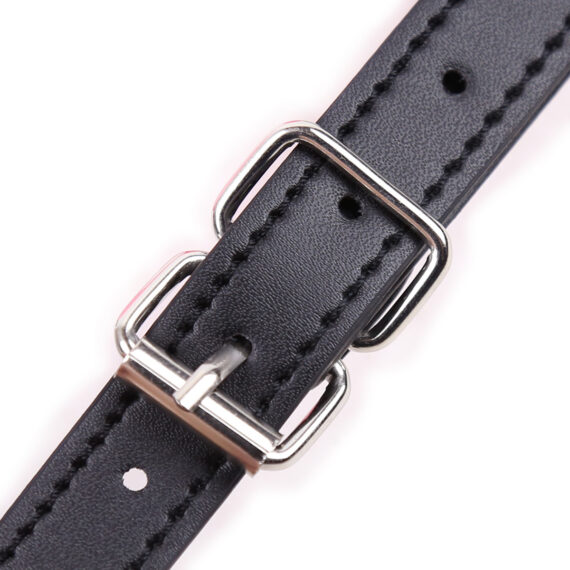 Mouth Gag Pink Mouth