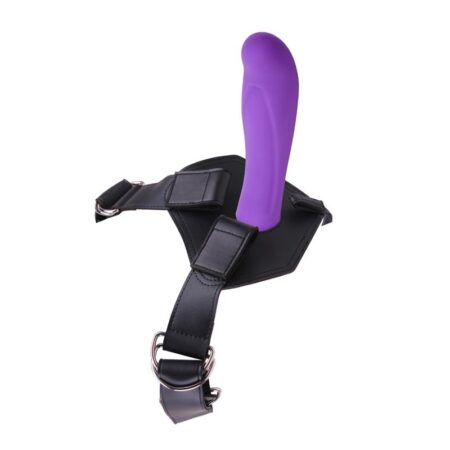 harness-and-dildo-amor